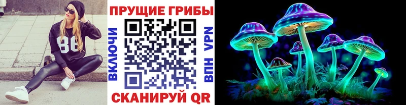 Купить  Дмитриев  Псилоцибиновые грибы Psilocybe 